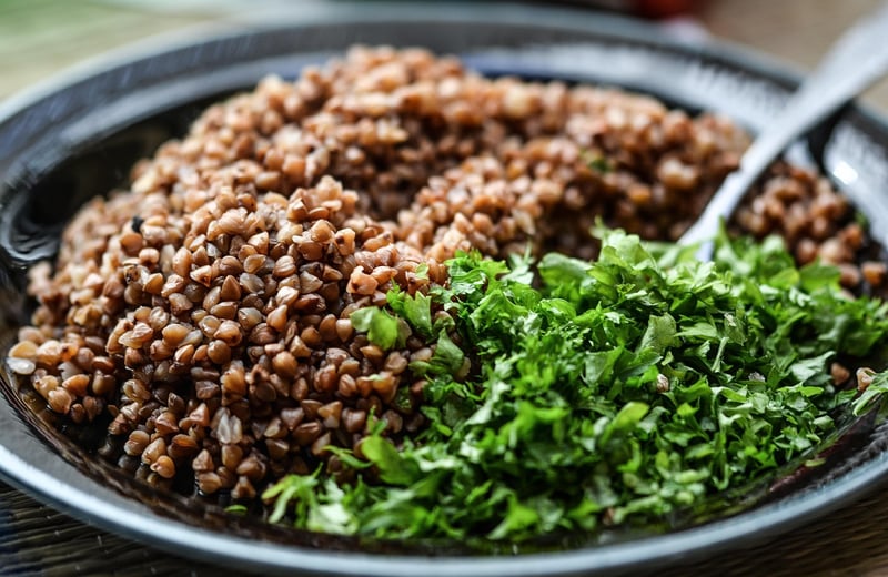 Plant-Based Diet